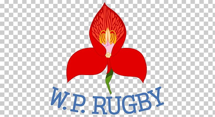 Western Province Currie Cup Vodacom Cup Stormers Free State Cheetahs PNG, Clipart, Artwork, Blue Bulls, Computer Wallpaper, Currie Cup, Falcons Free PNG Download