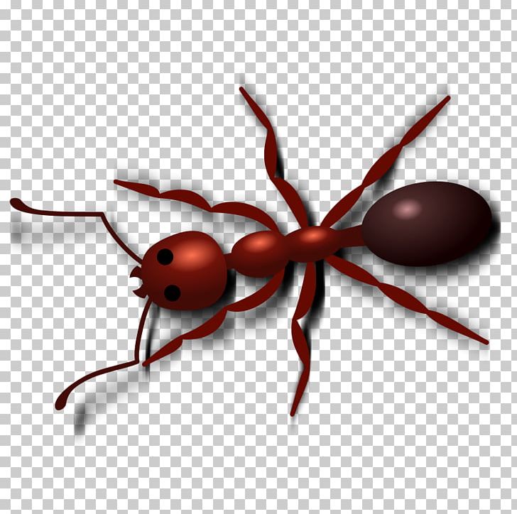 Ant PNG, Clipart, Animal, Ant, Ant Clipart, Arthropod, Computer Icons Free PNG Download