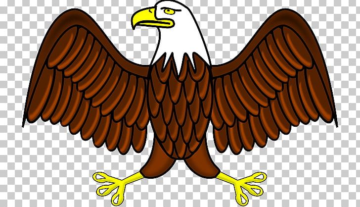 Bald Eagle Graphics White-tailed Eagle PNG, Clipart, Accipitriformes, Animal Figure, Bald Eagle, Beak, Bird Free PNG Download