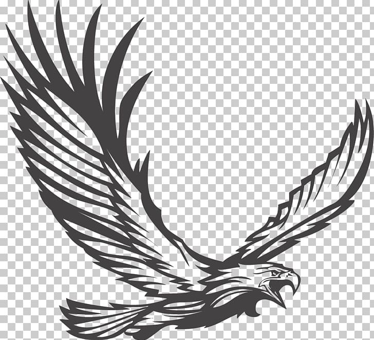 Bald Eagle Stock Photography Illustration PNG, Clipart, Beak, Bird, Bird Of Prey, Download, Eagle Free PNG Download