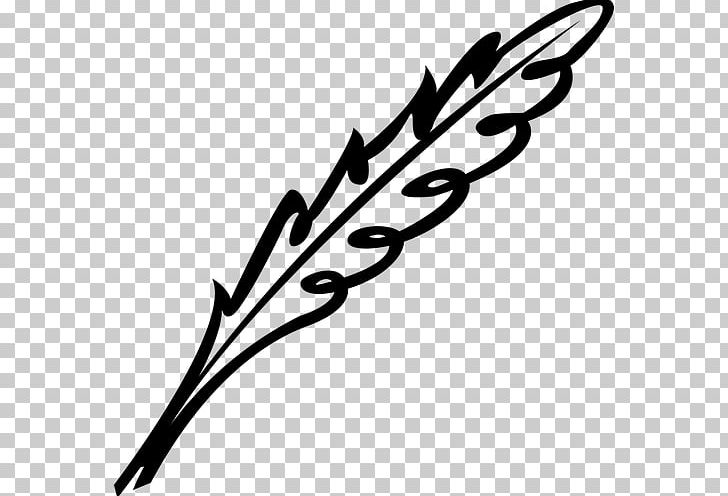 Calligraphy PNG, Clipart, Artwork, Black, Black And White, Branch, Calligraphy Free PNG Download