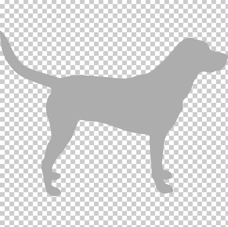 Dog Cat Collar Louse Flea PNG, Clipart, Animals, Black And White, Canidae, Carnivoran, Cat Free PNG Download