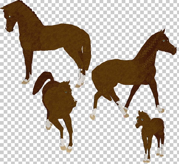 Mustang Foal Mare Thoroughbred Appaloosa PNG, Clipart, Animal Figure, Appaloosa, Buckskin, Chestnut, Colt Free PNG Download
