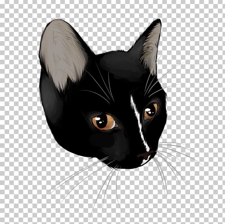 Black Cat Bombay Cat American Wirehair Havana Brown Kitten PNG, Clipart, American Wirehair, Animals, Arya, Black And White, Black Cat Free PNG Download