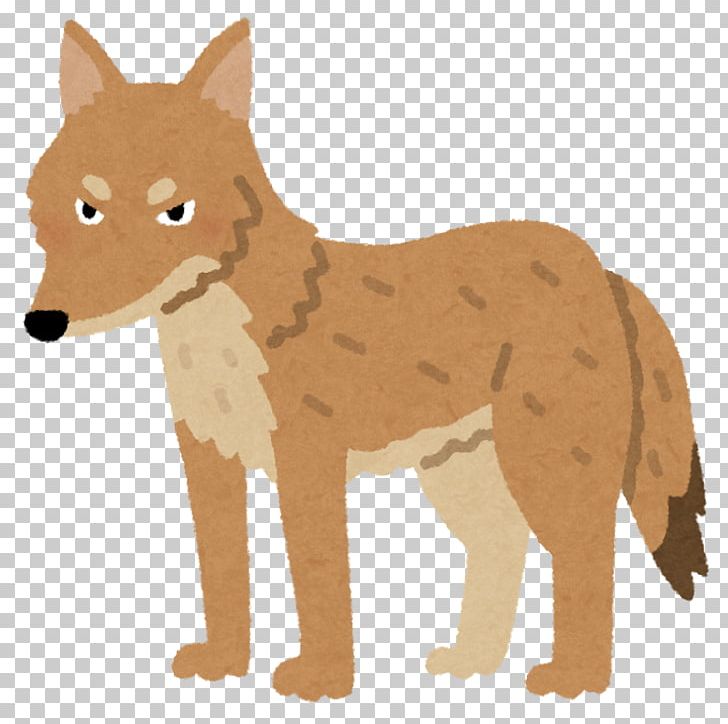 Coyote Dog Search Engine Optimization Dhole Red Fox PNG, Clipart, Blog, Canidae, Carnivoran, Coyote, Dhole Free PNG Download