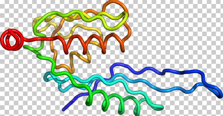Organism Line PNG, Clipart, Animal Figure, Area, Art, Artwork, Coli Free PNG Download