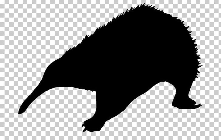 Silhouette Flying Squirrel Animal PNG, Clipart,  Free PNG Download