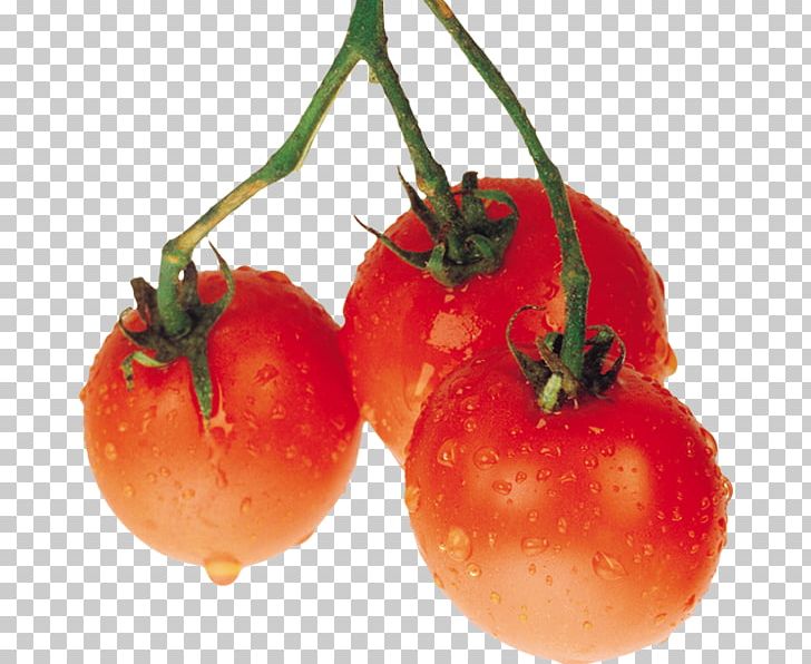 Tomato Fruit Food Photography PNG, Clipart, Accessory Fruit, Bush Tomato, Computer Icons, Depositfiles, Diet Food Free PNG Download