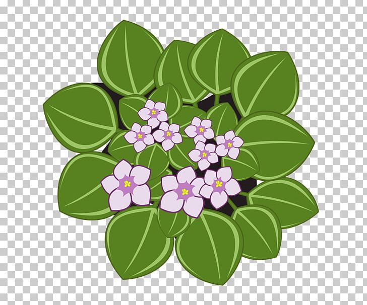 African Violets PNG, Clipart, African Violets, Branch, Download, Flower, Flowering Plant Free PNG Download