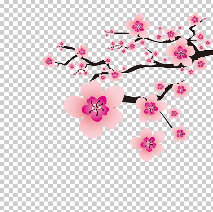 Cherry Blossom Plum Blossom Flower PNG, Clipart, Blossom, Branch, Cherry, Drawing, Floral Design Free PNG Download