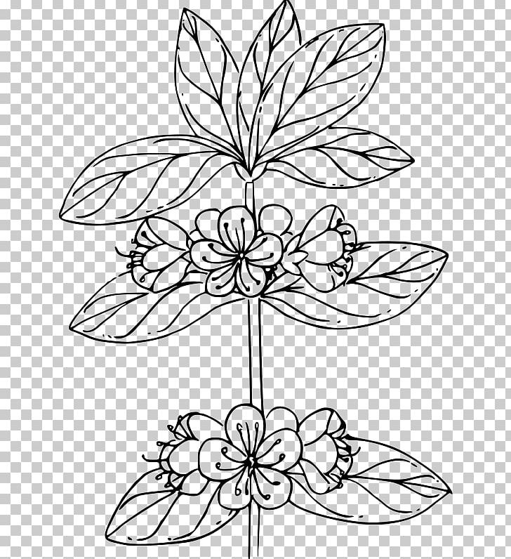 Floral Design Cut Flowers Branch Plant Stem Leaf PNG, Clipart, Area, Art, Azalea, Black And White, Branch Free PNG Download