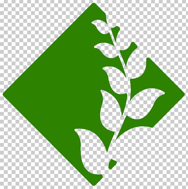 Jewellery Brand Plant Odor PNG, Clipart, Brand, Flora, Grass, Green, Jewellery Free PNG Download