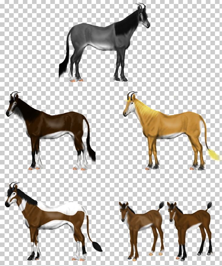 Mustang Foal Stallion Mare Colt PNG, Clipart, Animal, Animal Figure, Colt, Foal, Herd Free PNG Download