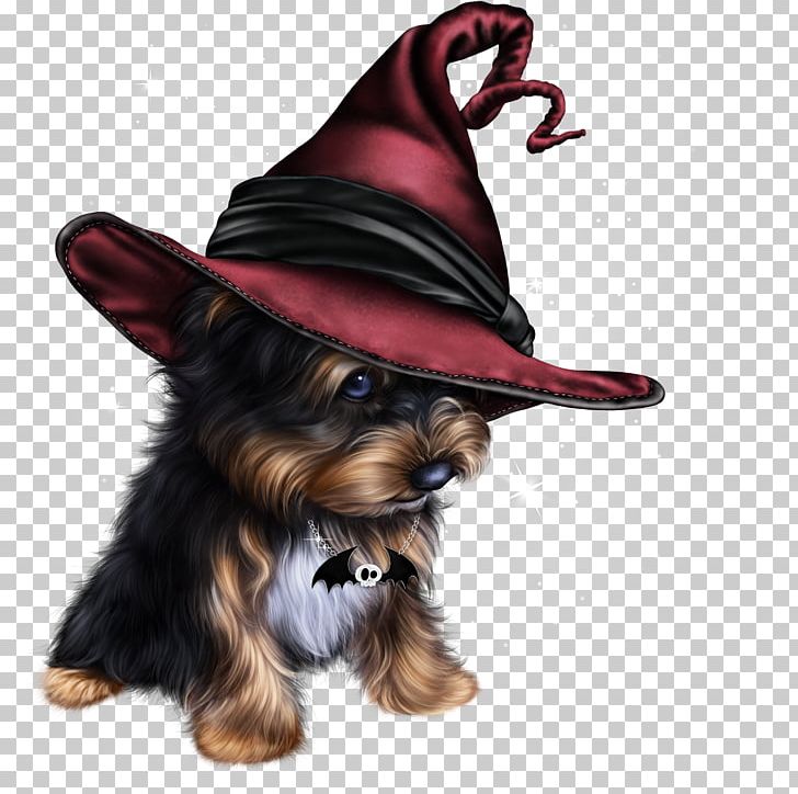 Puppy Yorkshire Terrier Canidae Dog Breed Pet PNG, Clipart, Animal, Animals, Breed, Canidae, Carnivoran Free PNG Download