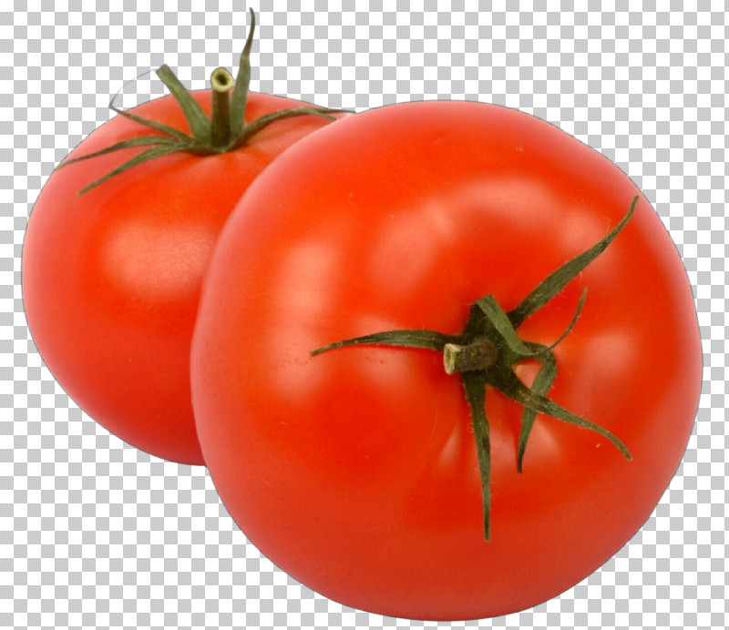 Tomato PNG, Clipart, Bush Tomato, Food, Fruit, Natural Foods, Plant Free PNG Download