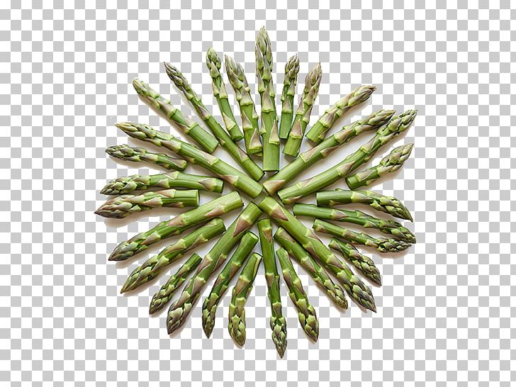 Asparagus Nutrient Vitamin A Plant Stem Folate PNG, Clipart, Antioxidant, Asparagus, Chemical Compound, Dietary Fiber, Folate Free PNG Download