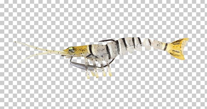 Fishing Baits & Lures Thermoplastic Elastomer Shrimp PNG, Clipart, Angling, Animal, Animals, Bait, Fish Free PNG Download