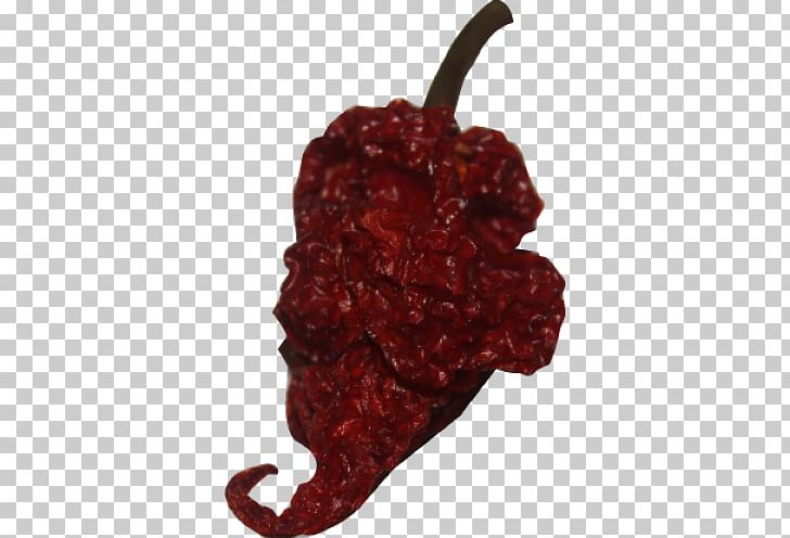 Chili Pepper Trinidad Moruga Scorpion Capsicum Annuum Trinidad Scorpion Butch T Pepper PNG, Clipart, Bell Peppers And Chili Peppers, Bhut Jolokia, Carolina Reaper, Cayenne Pepper, Chili Pepper Free PNG Download