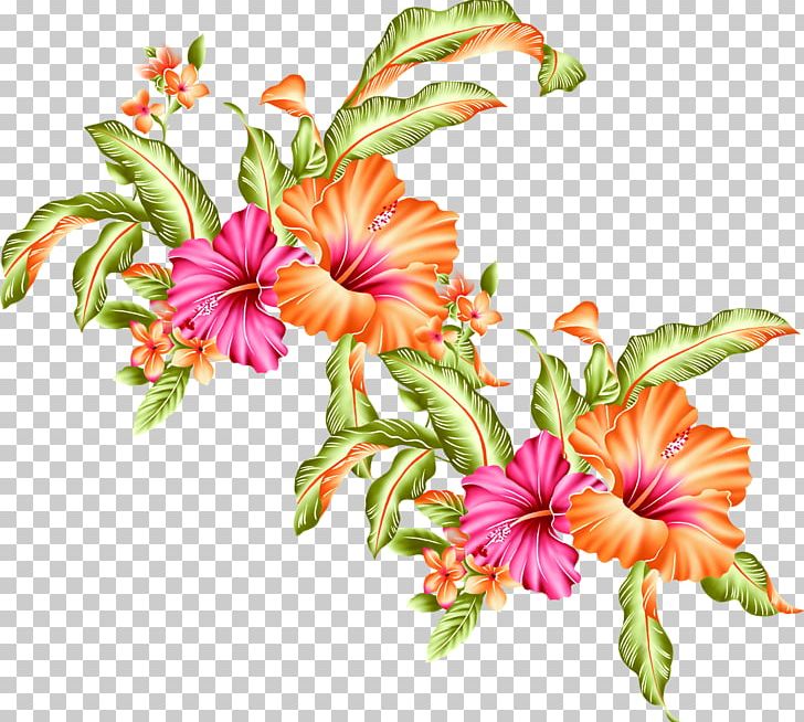 Orange Flower Ipomoea Nil PNG, Clipart, Download, Flora, Floral Design, Floristry, Flow Free PNG Download
