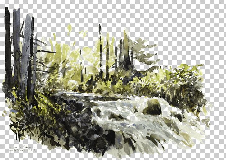 Watercolor Painting Torrent River Watercolor Painting PNG, Clipart, Alluvium, Fire Salamander, Flora, Grass, Nature Free PNG Download