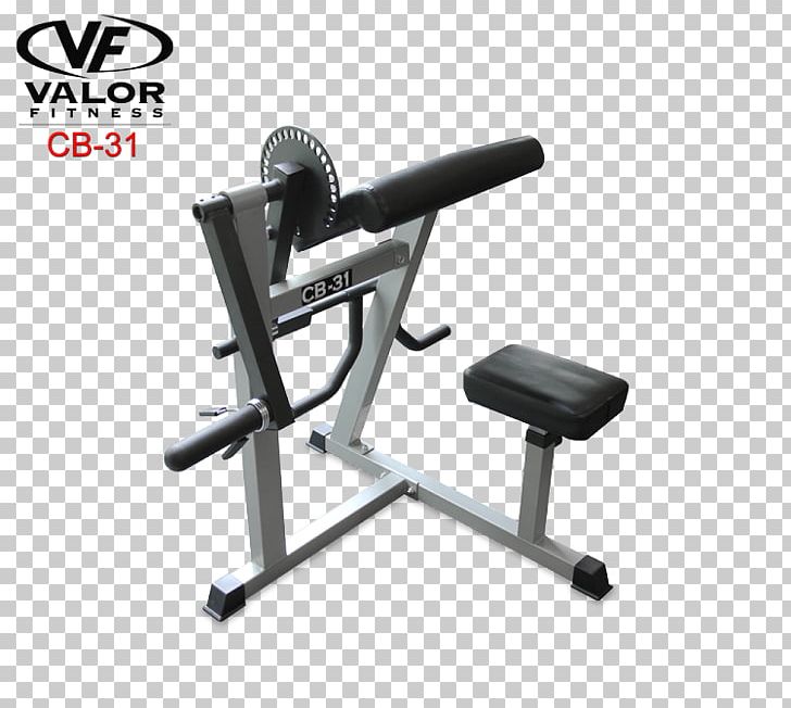 Bench Biceps Curl Triceps Brachii Muscle Arm Elliptical Trainers PNG, Clipart, Arm, Bench, Biceps Curl, Elliptical Trainers, Exercise Free PNG Download
