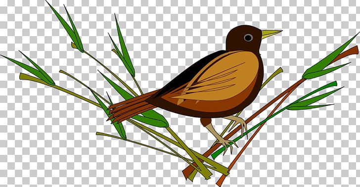 Bird In The Tree Sparrow PNG, Clipart, Animals, Beak, Bird, Bird In The Tree, Branch Free PNG Download