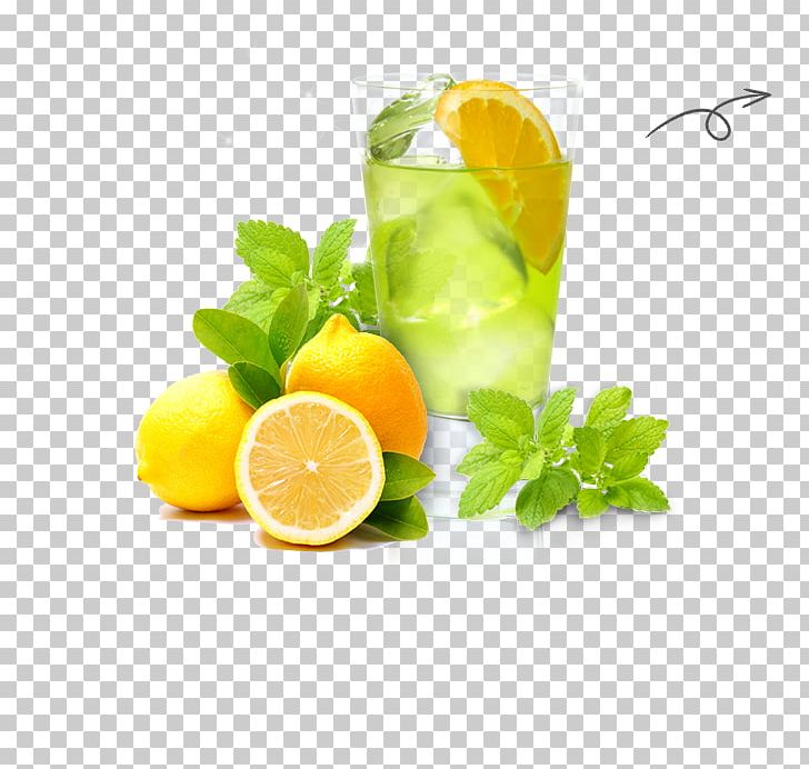 Lemonade Cocktail Garnish Limonana Mojito PNG, Clipart, Citric Acid, Citrus, Cocktail, Cocktail Garnish, Drink Free PNG Download