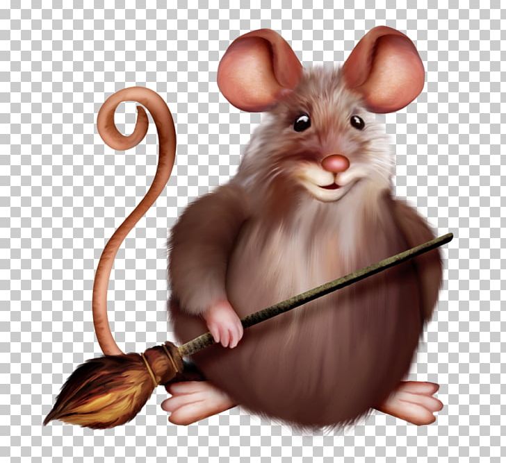 Computer Mouse Rat Rodent PNG, Clipart, Computer Icons, Computer Mouse, Electronics, Fancy Mouse, Hamster Free PNG Download