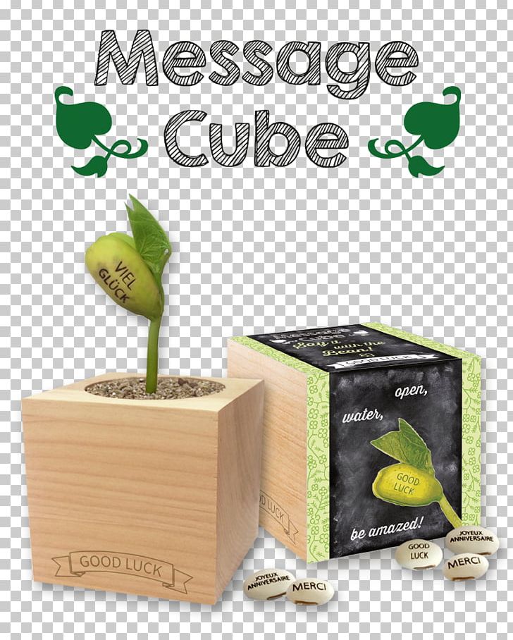Cube Flowerpot Green Promotional Merchandise Environmentally Friendly PNG, Clipart, Art, Bean, Cube, Environmentally Friendly, Feeling Free PNG Download