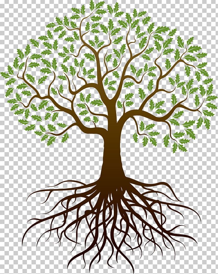 Drawing Tree Root PNG, Clipart, Art, Artwork, Branch, Drawing, Encapsulated Postscript Free PNG Download