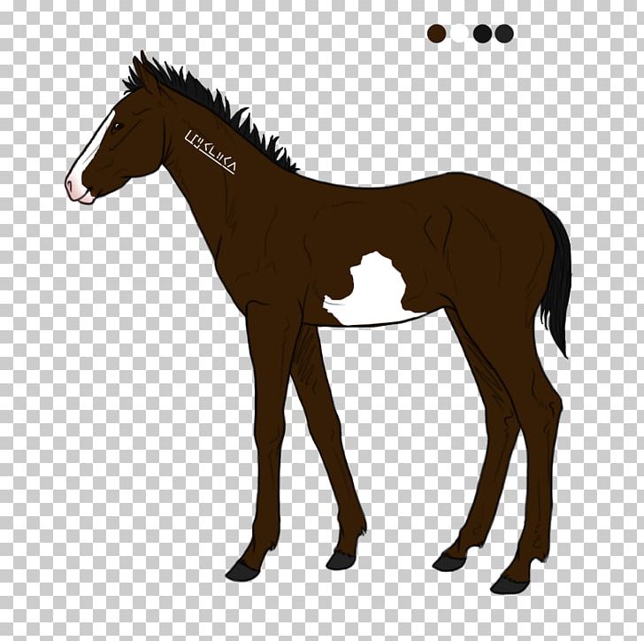 Mustang Biri Travbane Foal Pony PNG, Clipart, Animal Figure, Bridle, Colt, Douglas Bay Horse Tramway, Foal Free PNG Download