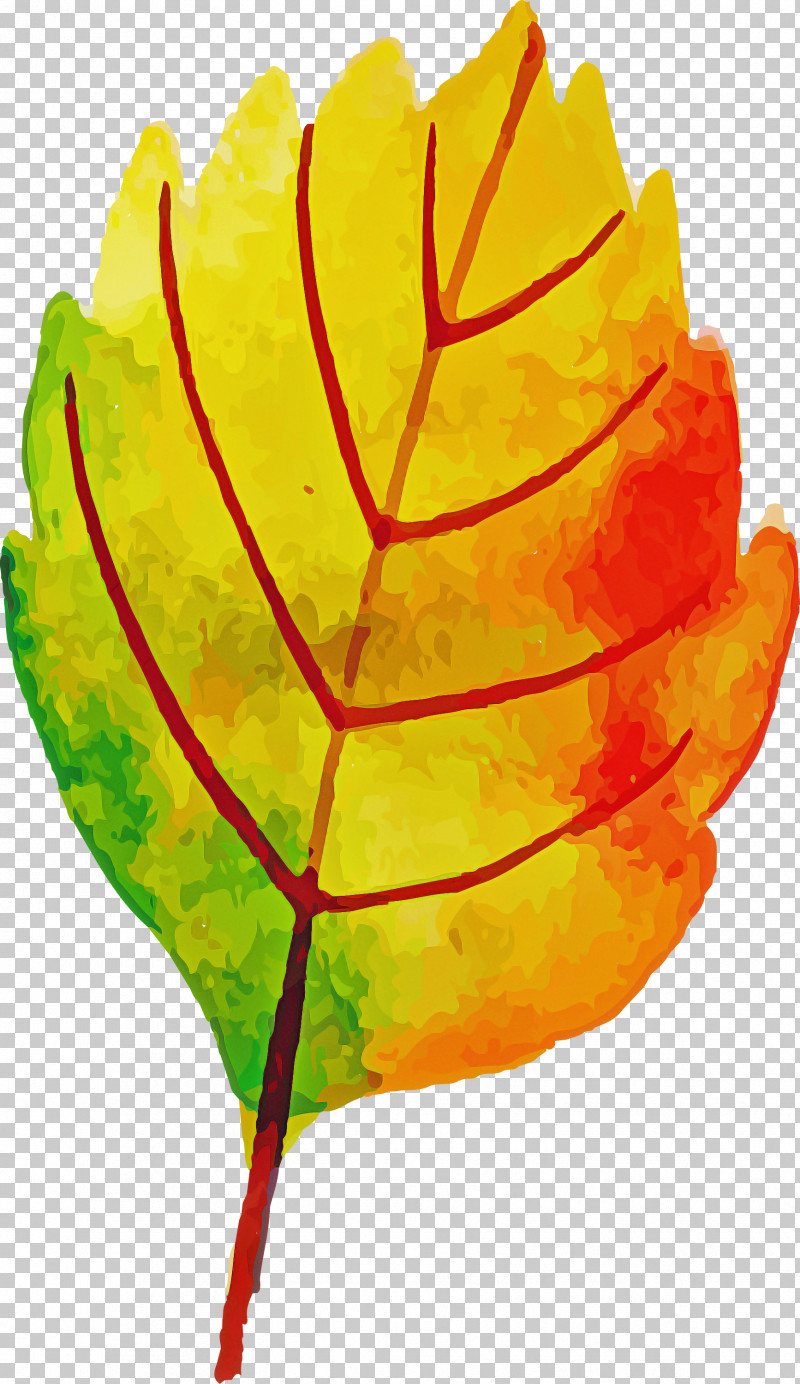 Autumn Leaf Colorful Leaf PNG, Clipart, Autumn Leaf, Biology, Colorful Leaf, Flower, Leaf Free PNG Download