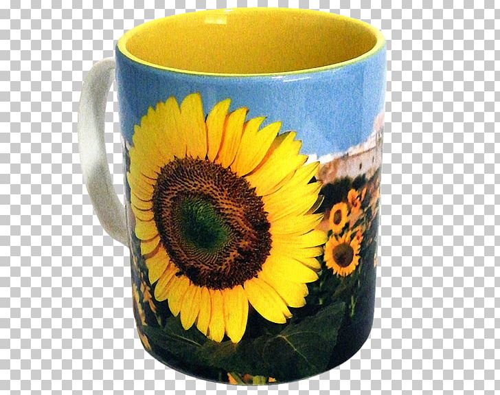 Dandelion Coffee Coffee Cup Ceramic Flowerpot PNG, Clipart, Ceramic, Ceramic Mug, Coffee, Coffee Cup, Cup Free PNG Download