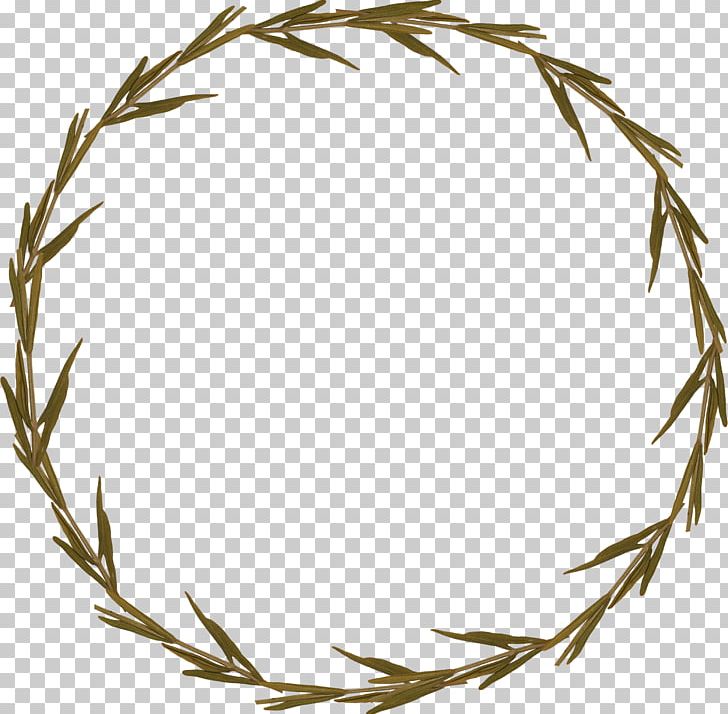 Twig Frames Flower PNG, Clipart, Branch, Clip Art, Commodity, Computer Icons, Drawing Free PNG Download