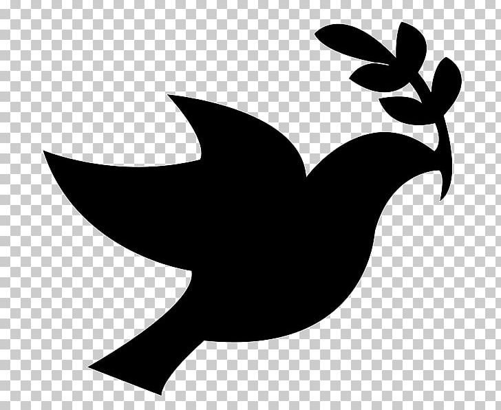 Columbidae Peace Symbols Doves As Symbols PNG, Clipart, Artwork, Beak, Bird, Black And White, Branch Free PNG Download