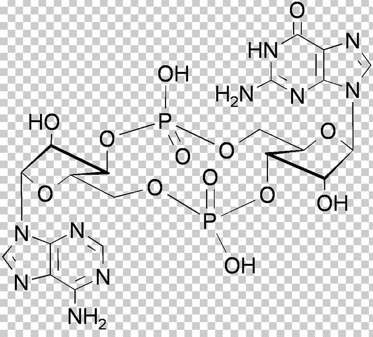 Cyclic Adenosine Monophosphate Cyclic Guanosine Monophosphate PNG, Clipart, Adenosine Diphosphate, Adenosine Monophosphate, Angle, Area, Auto Part Free PNG Download