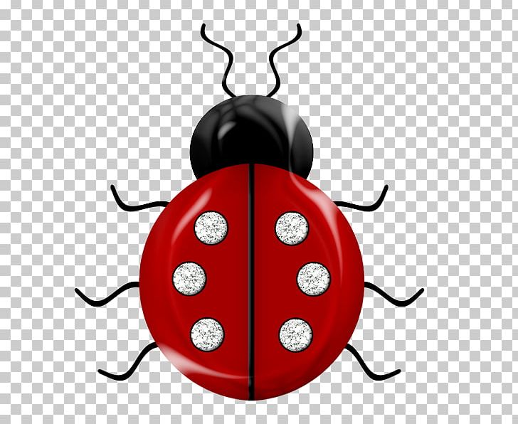 Insect Ladybird Red Easter Egg Bee PNG, Clipart, Animal, Animals, Aphid, Bee,  Beetle Free PNG Download