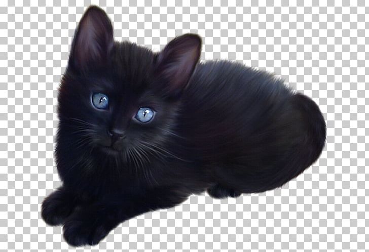 Kitten Maine Coon Black Cat PNG, Clipart, Animal, Animals, Black, Black Cat, Bombay Free PNG Download