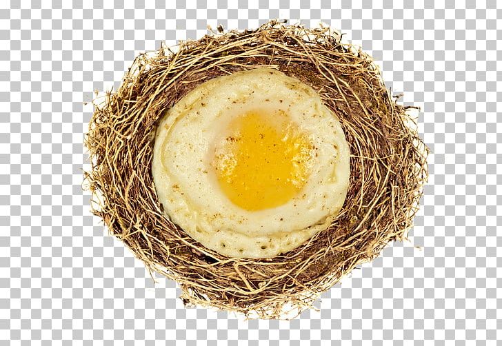 Fried Egg Nest PNG, Clipart, Animals, Bird Nest, Creative, Creative Background, Creative Graphics Free PNG Download