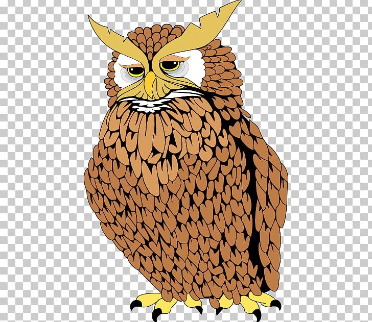 Owl Bird Bald Eagle PNG, Clipart, Avatar, Bald Eagle, Beak, Bird, Bird Of Prey Free PNG Download