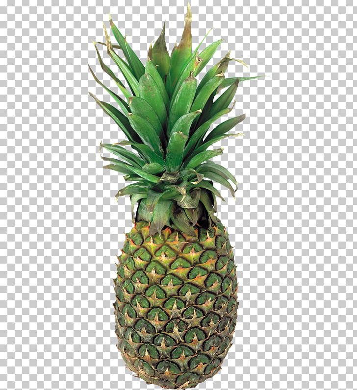 Pineapple Portable Network Graphics Fruit Juice PNG, Clipart, Ananas, Apple, Berry, Bromeliaceae, Flowerpot Free PNG Download