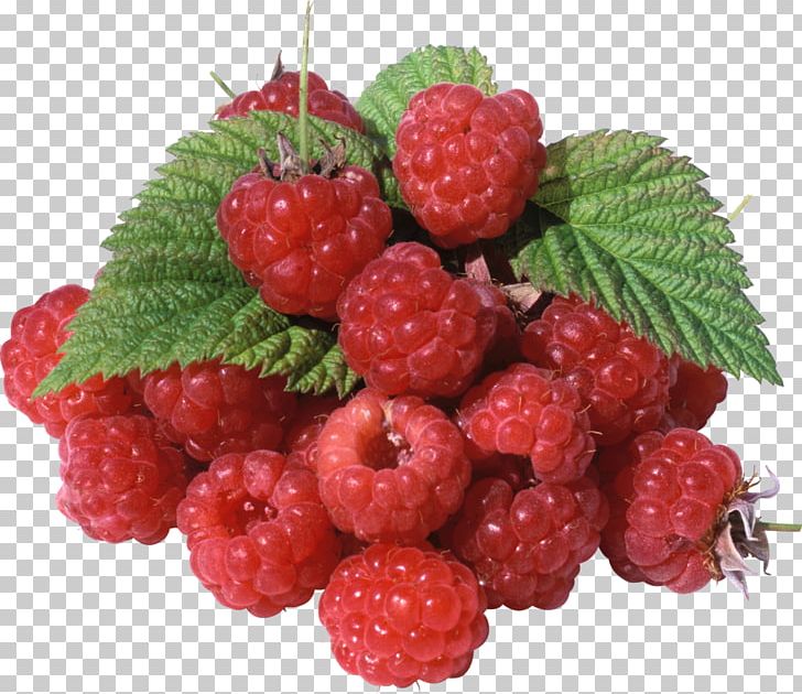 raspberry red mulberry fruit strawberry png clipart 3d arrows blueberry cartoon food frutti di bosco free raspberry red mulberry fruit strawberry