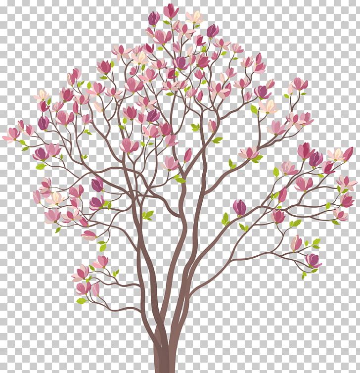 Southern Magnolia Tree PNG, Clipart, Branch, Cherry Blossom, Clipart, Cut Flowers, Design Free PNG Download