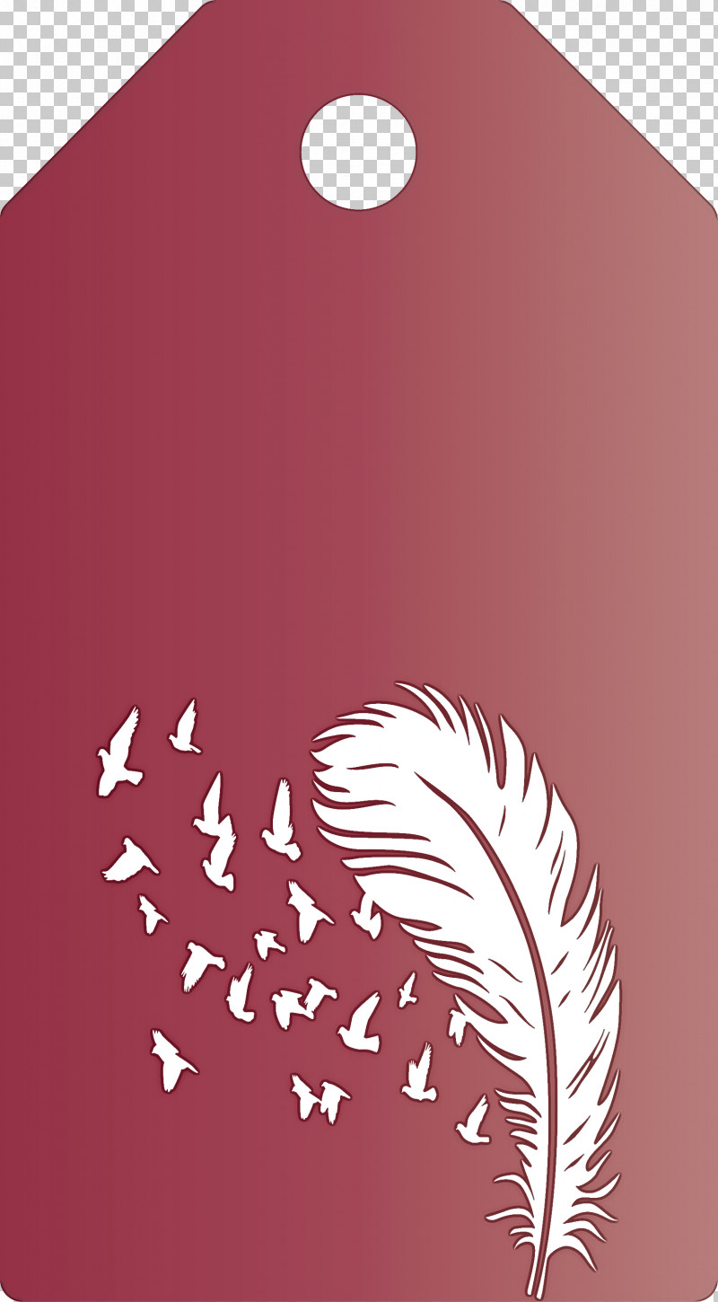 Feather Birds Tag PNG, Clipart, Biology, Drawing, Feather Birds Tag, Ink, Still Life Free PNG Download
