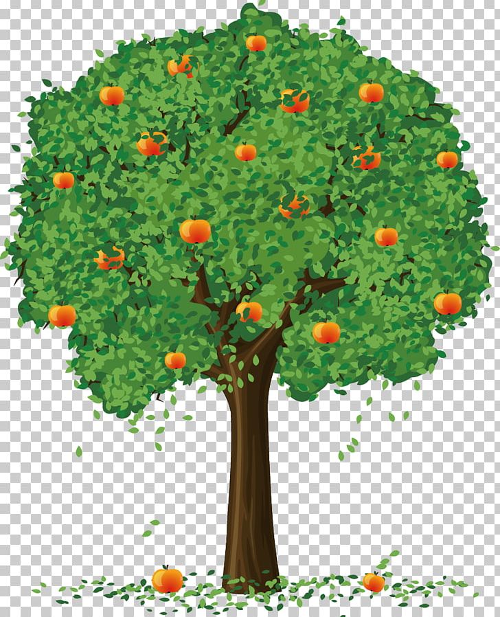 Apple Fruit Tree PNG, Clipart, Apple, Branch, Cartoon, Clip Art, Computer Icons Free PNG Download