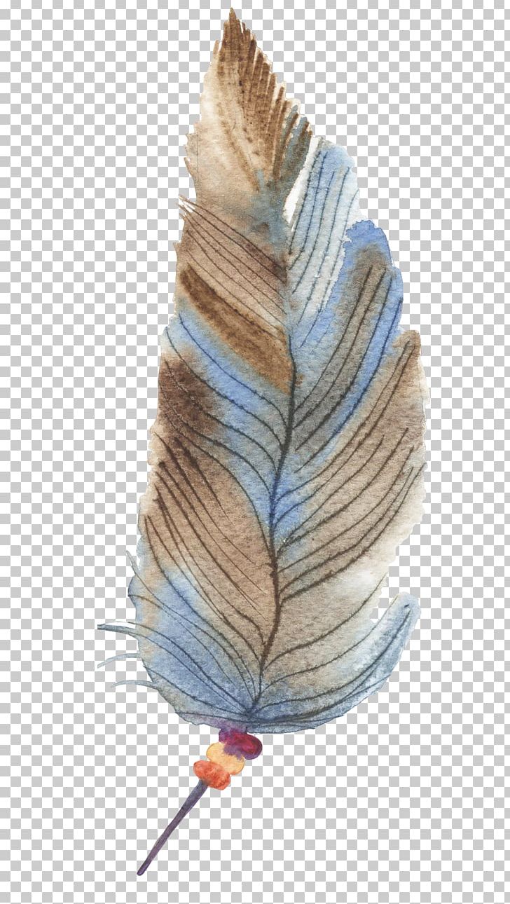 Feather Drawing PNG, Clipart, Adobe Illustrator, Animals, Designer, Diagram, Download Free PNG Download