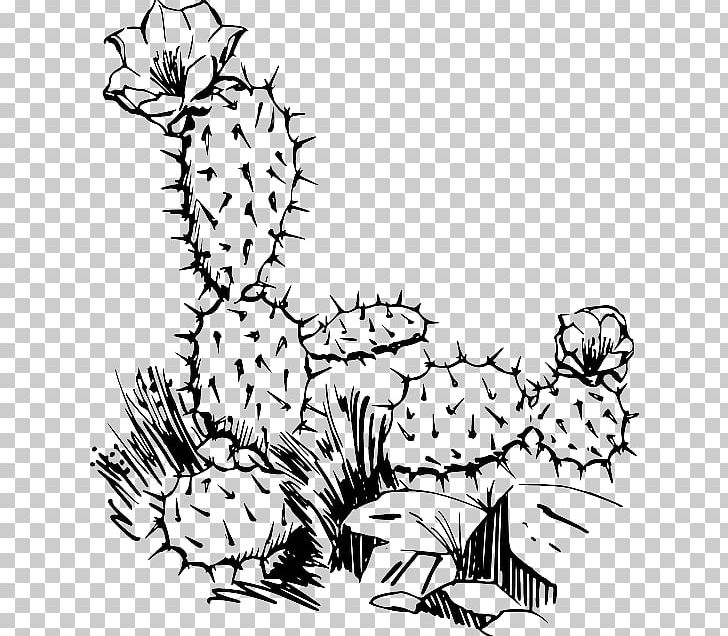 Barbary Fig Cactaceae Saguaro PNG, Clipart, Art, Black, Carnivoran, Fictional Character, Flora Free PNG Download