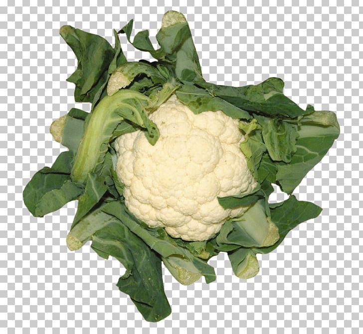 Cauliflower Cheese Cauliflower Recipes Vegetable Broccoli PNG, Clipart, Broccoli, Cabbage, Cauliflower, Cauliflower Cheese, Collard Greens Free PNG Download