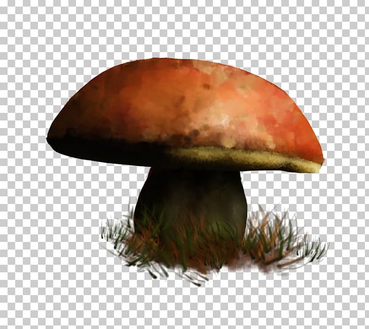 Edible Mushroom Food Hot Pot Fungus PNG, Clipart, Birthday, Edible Mushroom, Food, Fungus, Hot Pot Free PNG Download