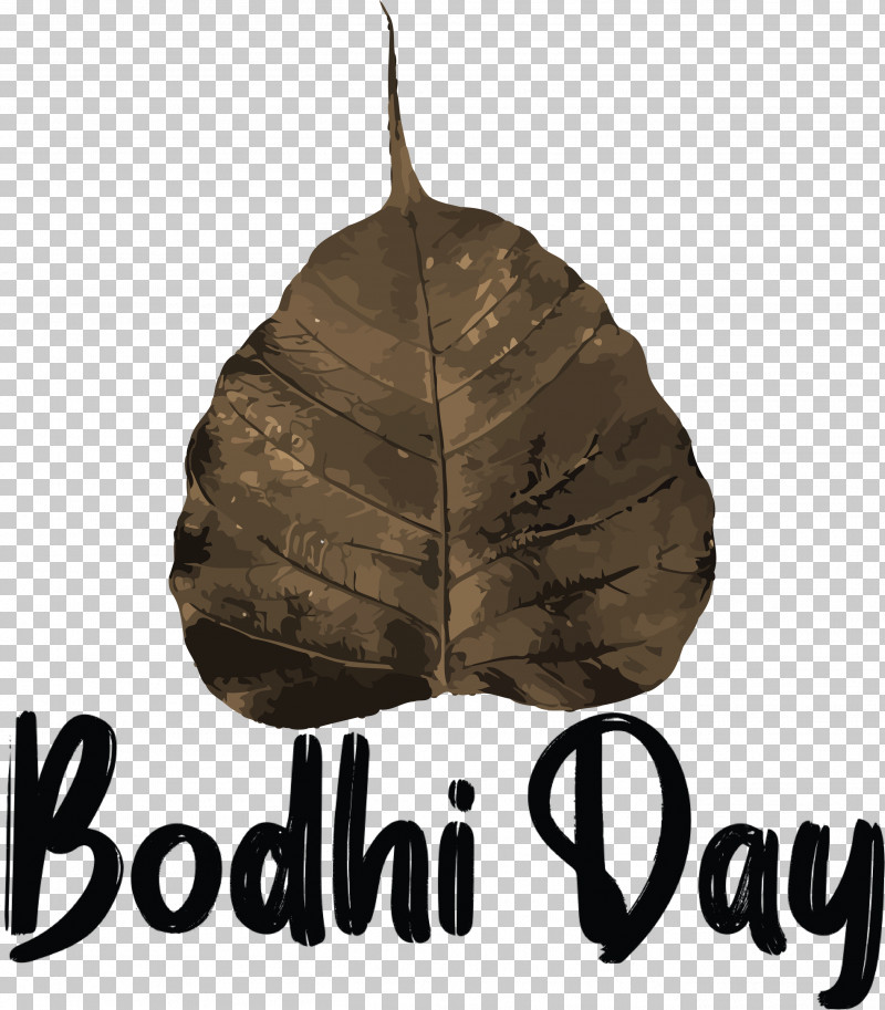 Bodhi Day PNG, Clipart, Biology, Bodhi Day, Leaf, Meter, Plants Free PNG Download